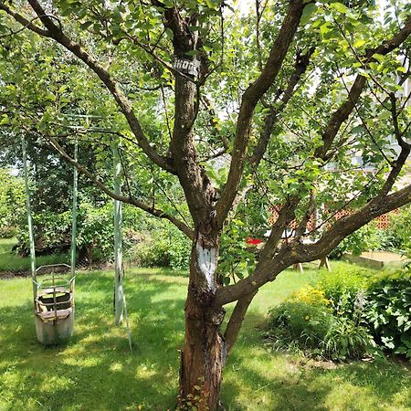 Pacov 501 Lägenhet Exteriör bild